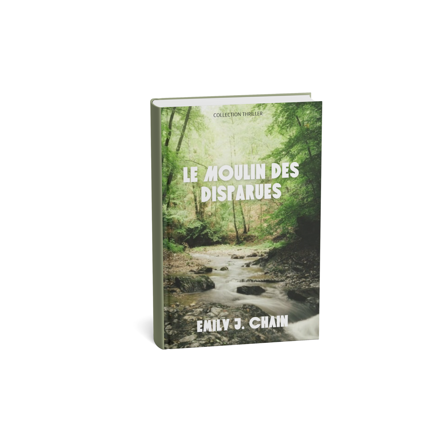 Le moulin des disparues