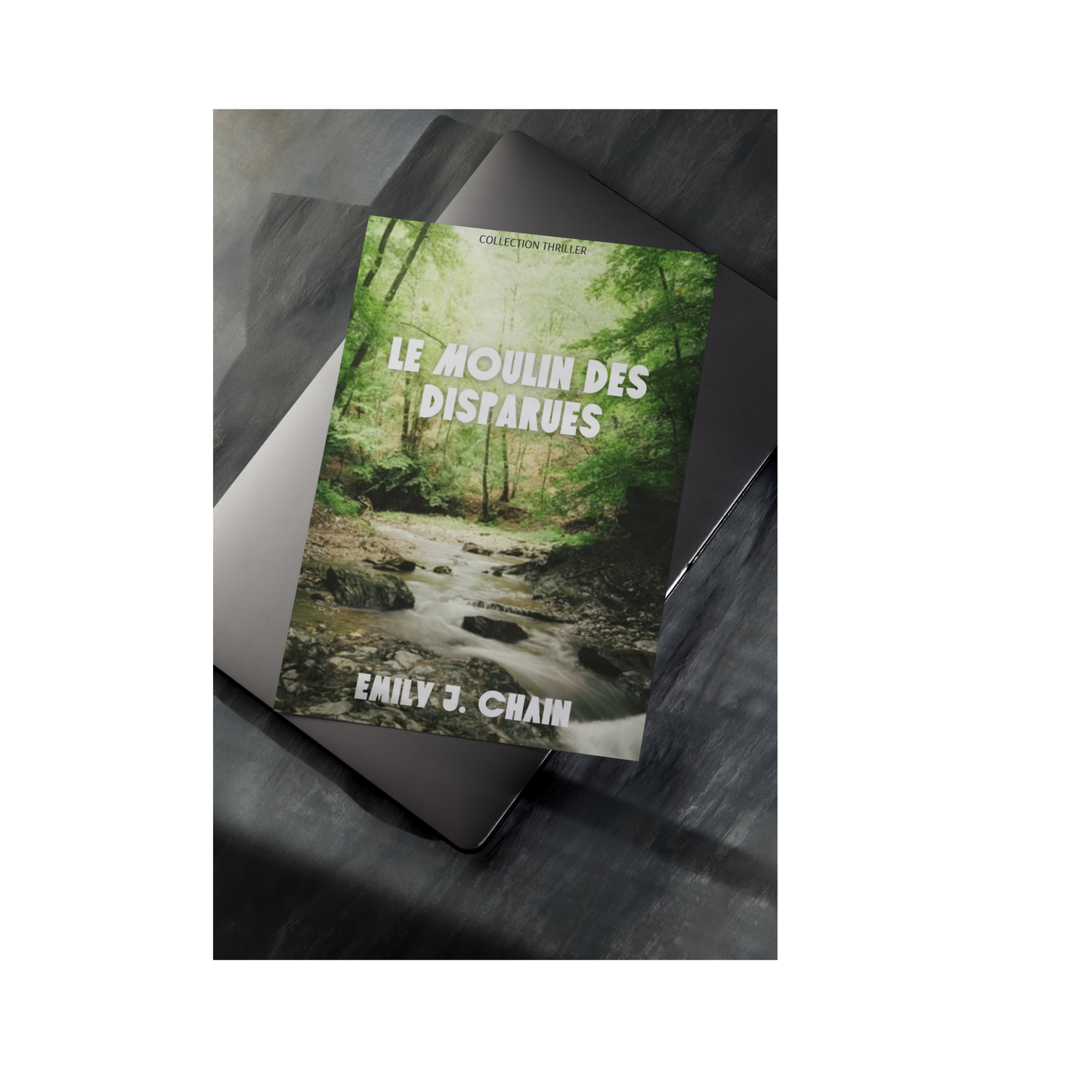 Le moulin des disparues